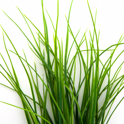Трава искусственная -3, шт (осока 50 см/8 см  5 листов)				 - купить в Волгограде. Цена: 124.17 руб.