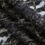 Кружевное полотно XD LACE 1-4, 80 гр/м2, шир.150см, цвет чёрный - купить в Волгограде. Цена 245.94 руб.