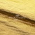 Текстильный материал "Диско"#1805 с покрытием РЕТ, 40гр/м2, 100% полиэстер, цв.5-золото - купить в Волгограде. Цена 416.57 руб.