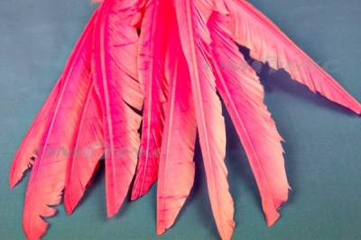 Декоративный Пучок из перьев, перо 25см/розовый - купить в Волгограде. Цена: 14.40 руб.