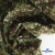 Ткань костюмная «Микровельвет велюровый принт», 220 г/м2, 97% полиэстр, 3% спандекс, ш. 150См Цв  #9 - купить в Волгограде. Цена 439.76 руб.