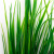 Трава искусственная -2, шт (осока 41см/8 см)				 - купить в Волгограде. Цена: 104.57 руб.