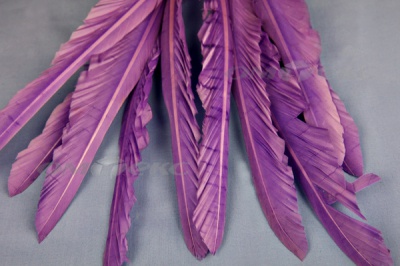 Декоративный Пучок из перьев, перо 25см/фиолетовый - купить в Волгограде. Цена: 12.19 руб.