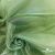 Ткань органза, 100% полиэстр, 28г/м2, шир. 150 см, цв. #27 зеленый - купить в Волгограде. Цена 86.24 руб.