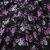 Плательная ткань "Фламенко" 20.1, 80 гр/м2, шир.150 см, принт растительный - купить в Волгограде. Цена 241.49 руб.