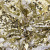 Трикотажное полотно, Сетка с пайетками, шир.130 см, #315, цв.-белый/золото - купить в Волгограде. Цена 693.39 руб.